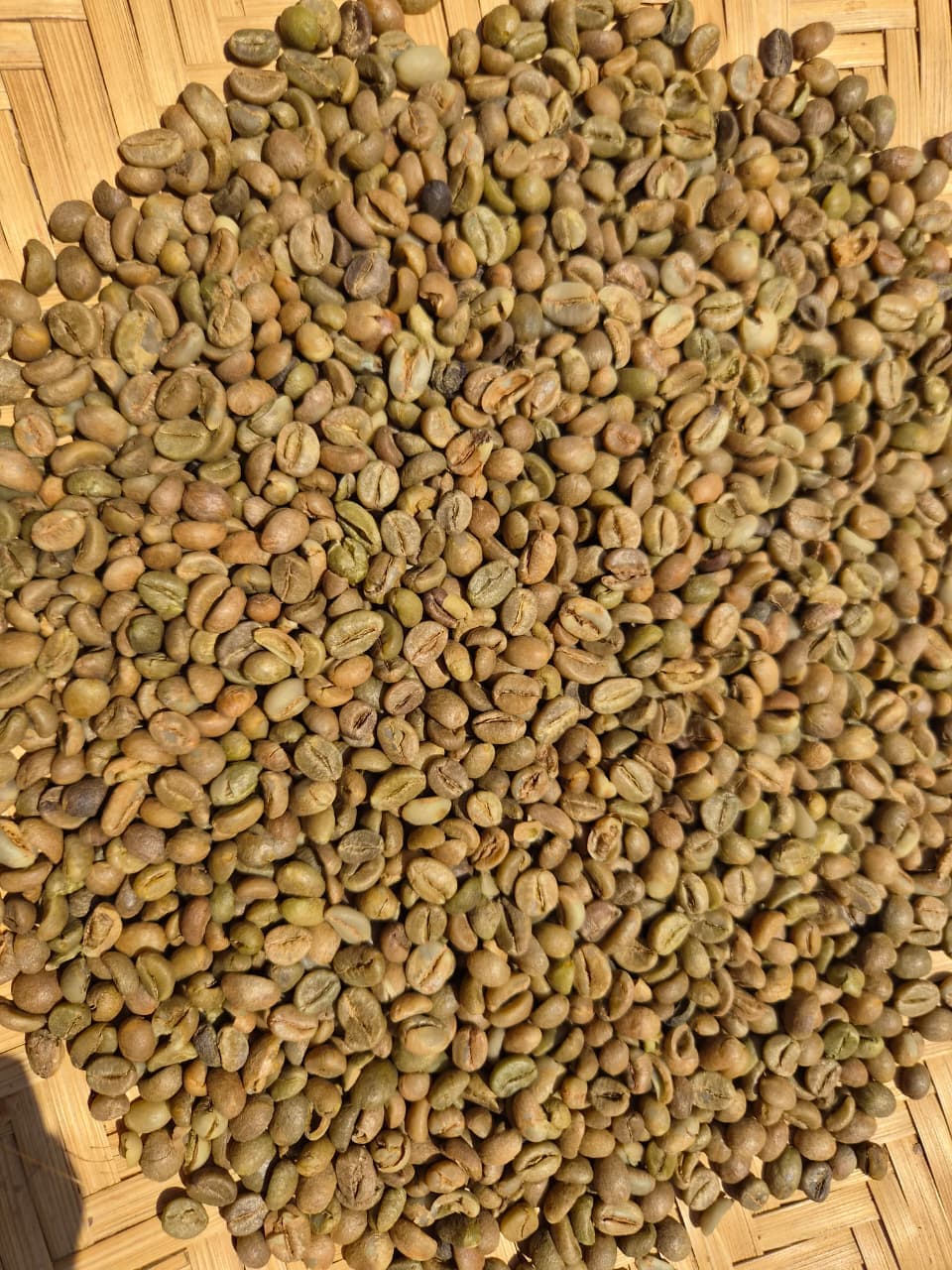 Harvest